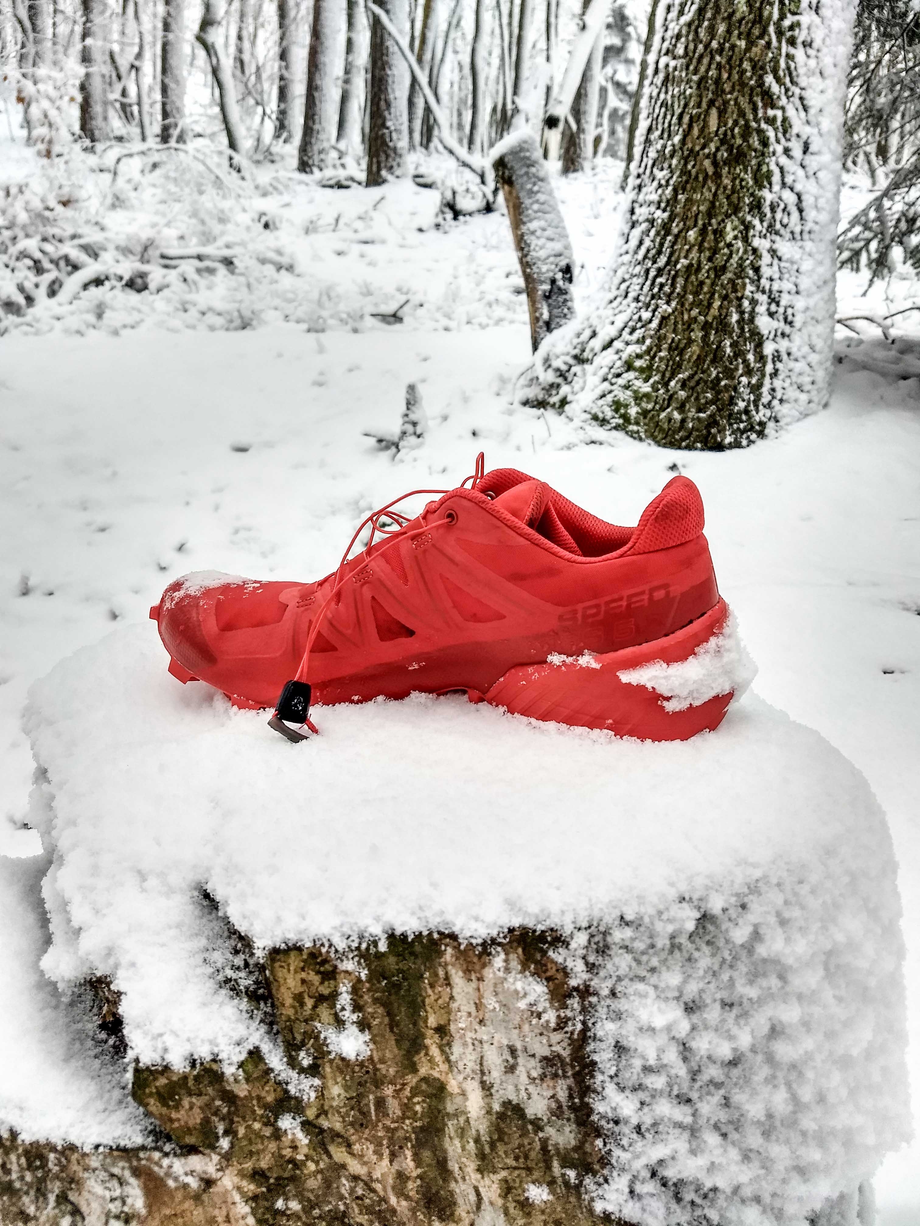 Laufschuh des Monats Salomon Speedcross 5 Laufschuh des Monats Salomon Speedcross 5