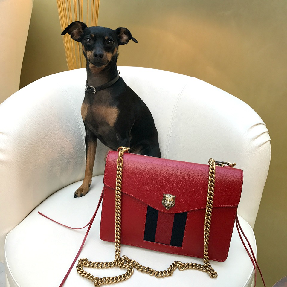GucciTascheShooting