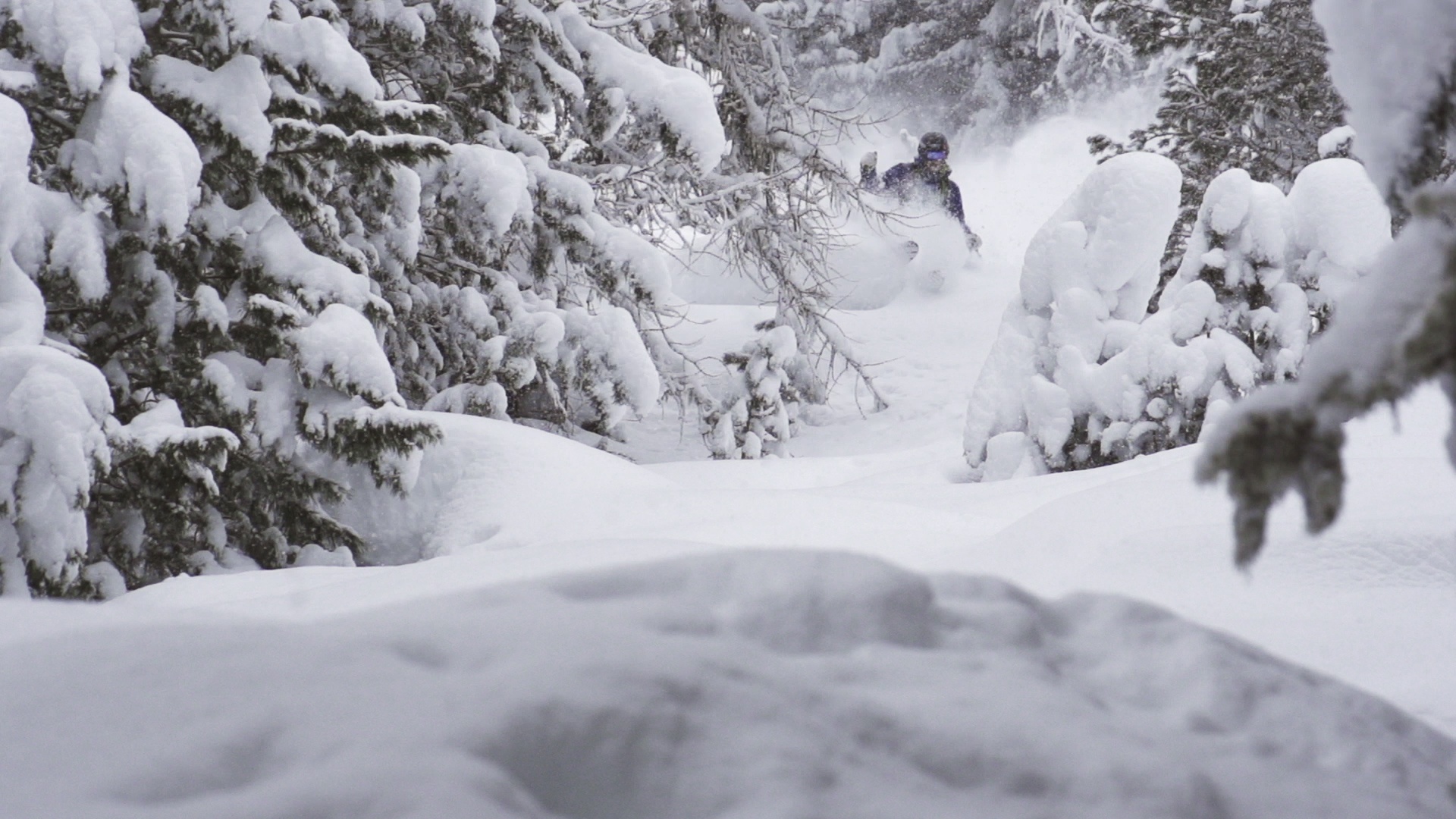 Die 3 besten Freeride-Spots in den Alpen