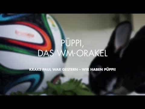 engelhorn sports WM-Orakel Püppi tippt die DFB-Spiele