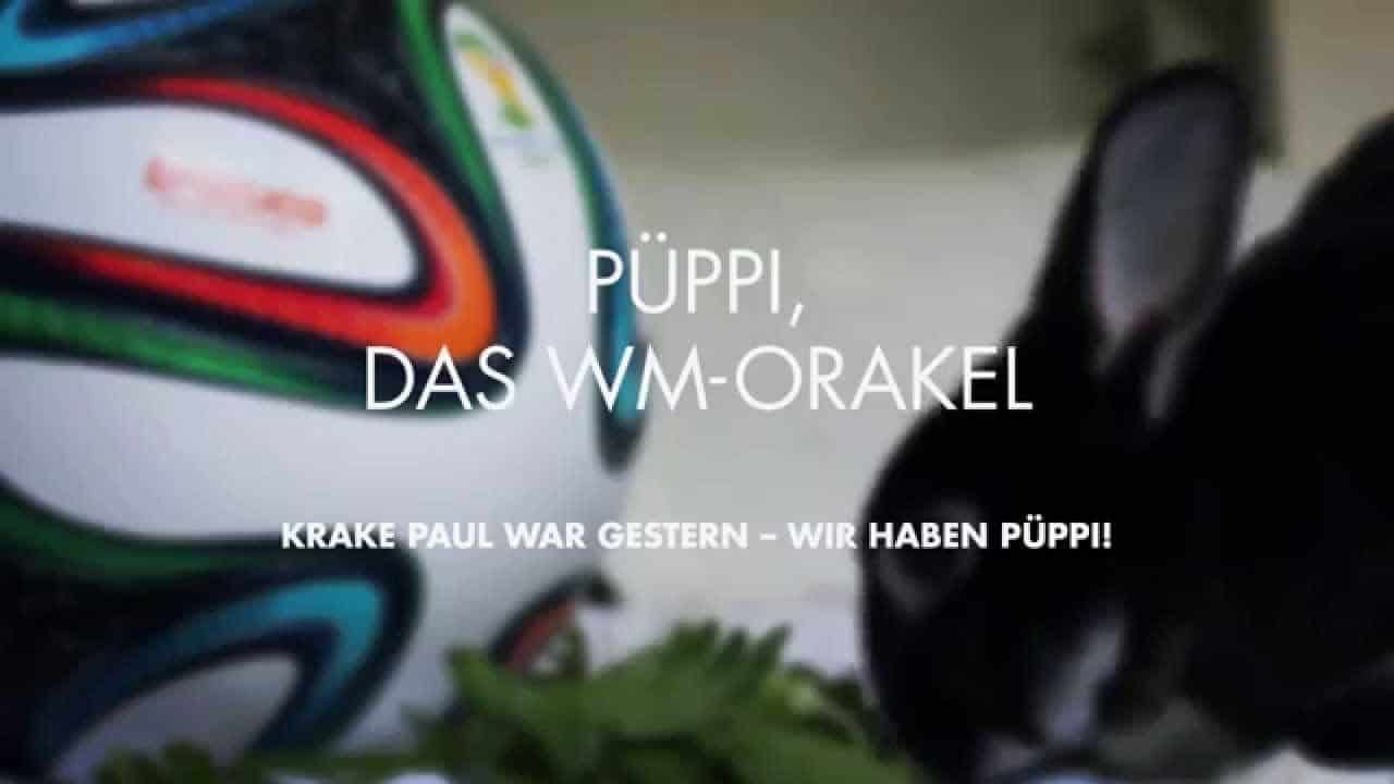 engelhorn sports WM-Orakel Püppi tippt die DFB-Spiele