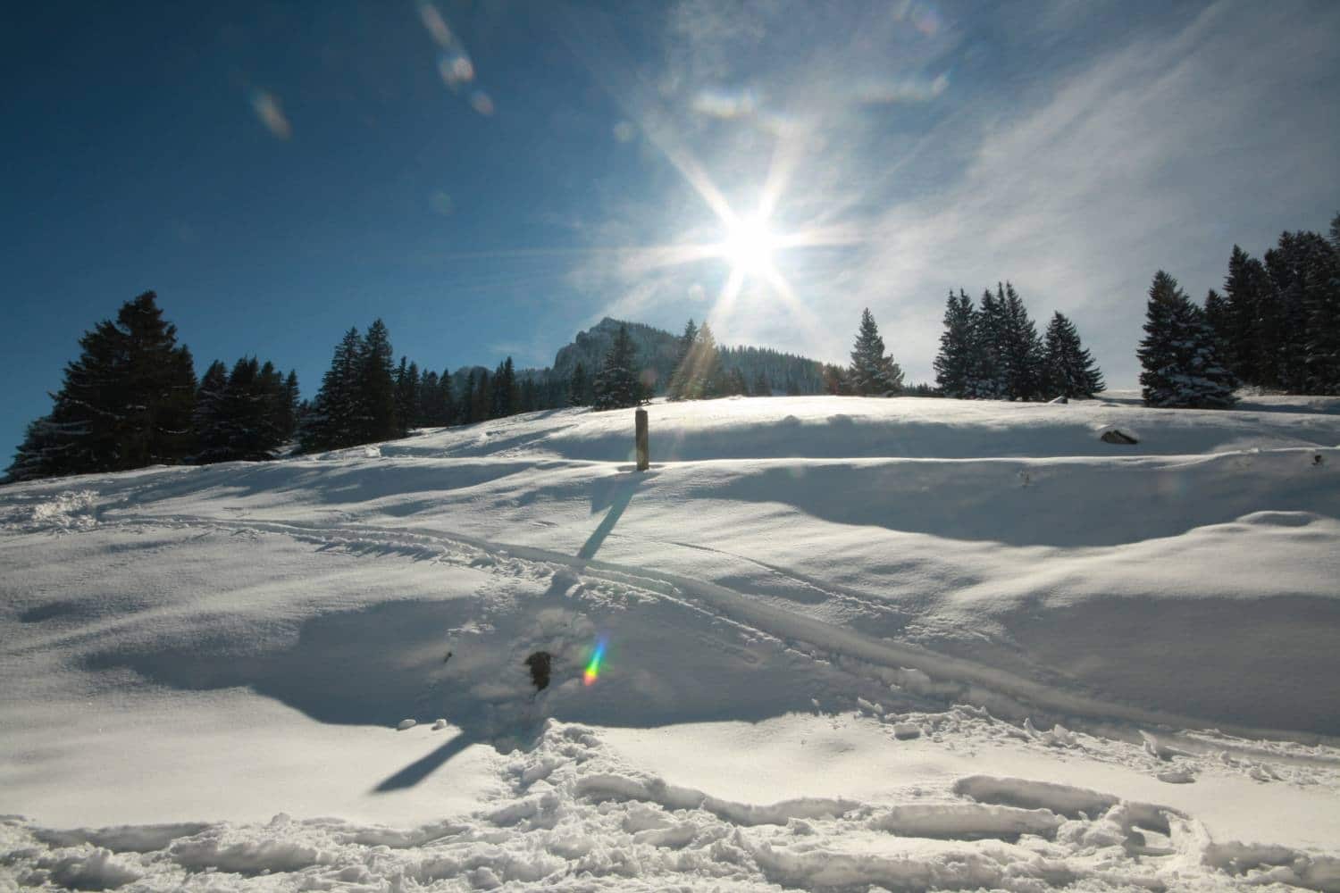 Mein Tourentipp: eine Schneeschuhwanderung zum Breitenstein