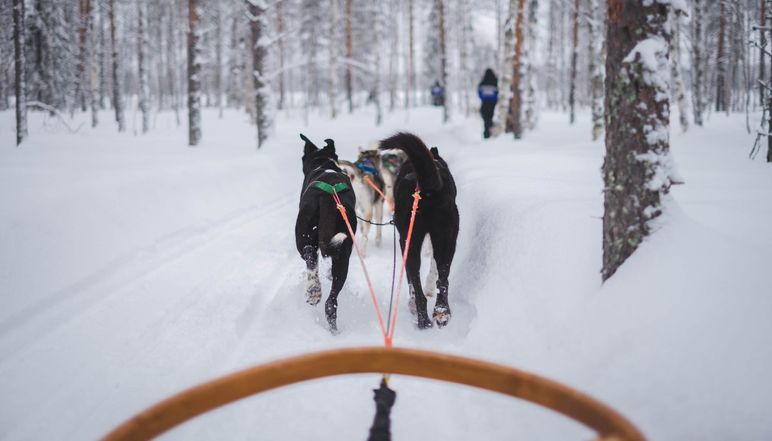 Mein Weg zum Fjällräven Polar
