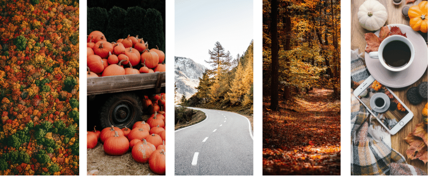 Trends Herbst_Collage