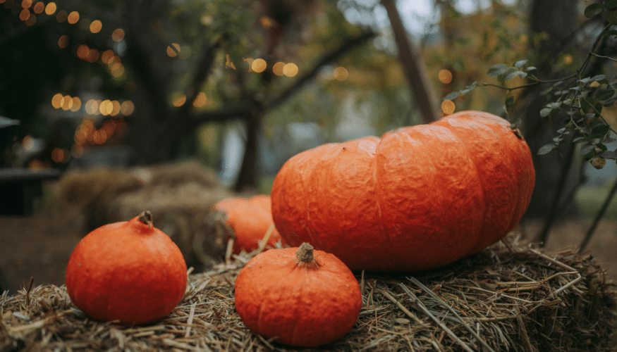 3 einfache Kürbis-Rezepte für den Herbst